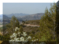 Jalon valley, June.jpg